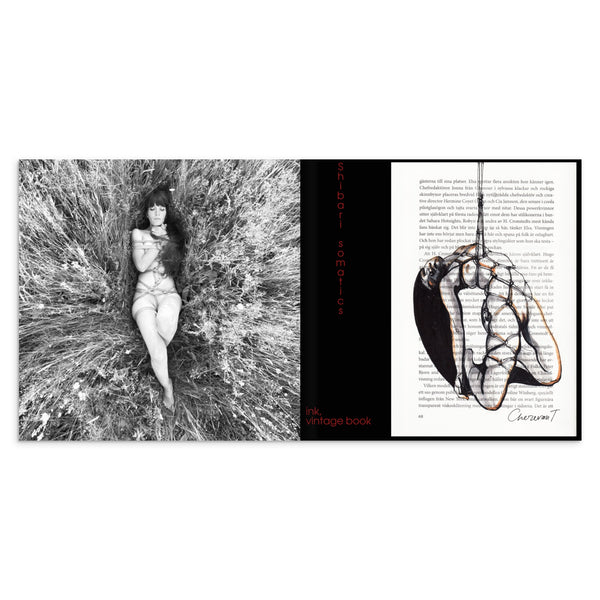 45e70eeb-3d81-4e86-bd79-49affe739508