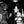 Kinbaku Shibari — Art Photography Zine