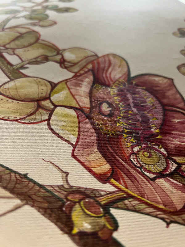 Couroupita guianensis