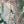 Phaethon
