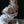 Kinbaku Shibari — Art Photography Zine